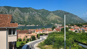 Apartman N